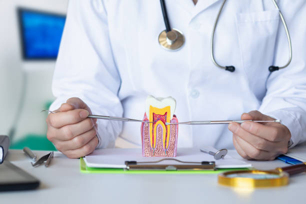 Best Broken or Cracked Tooth Emergency Dentist in Sylacauga, AL